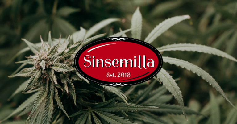 Read more about the article Sinsemilla and Maine Cannabis